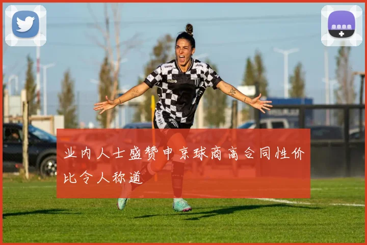 业内人士盛赞申京球商高合同性价比令人称道