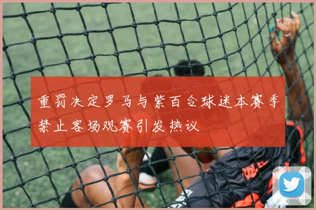 重罚决定罗马与紫百合球迷本赛季禁止客场观赛引发热议