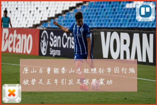 原山东鲁能泰山总经理孙华因行贿被禁足五年引发足球界震动